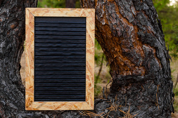 Clean letter board is installed on a pine tree in the forest.