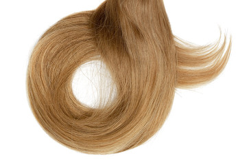 Fototapeta premium Long brown hair isolated on white background. In shape of circle