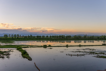 Naklejka premium Lake of Racconigi, near Turin, at golden hour