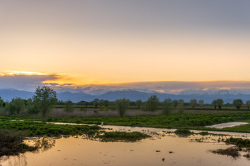 Lake of Racconigi, near Turin, at golden hour