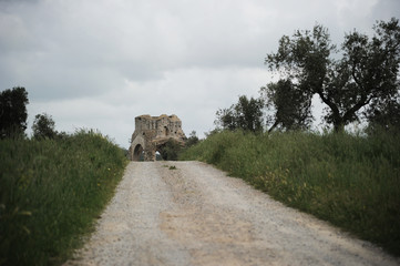 Benedictine San Bruzio Monastery ruins, Magliano in Toscana, Tuscany, Italy