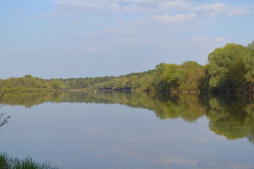 River, green forest, reflection of green forest in the water, in spring.