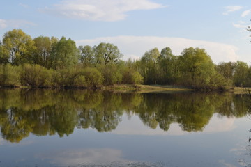 Fototapeta na wymiar River, green forest, reflection of green forest in the water, in spring.