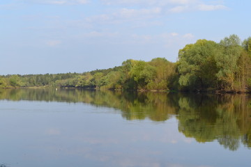 River, green forest, reflection of green forest in the water, in spring.