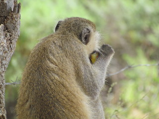 Pausa pranzo in relax