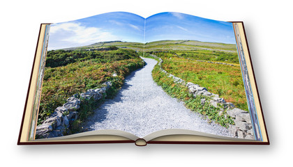 3D render of a typical Irish flat landscape in Aran Island with country road, stone walls and fields of grass for grazing animals (Ireland).the images used in this 3D render.