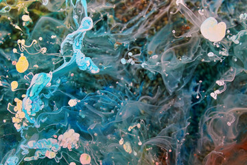 Epoxy Resin Petri Dish Art