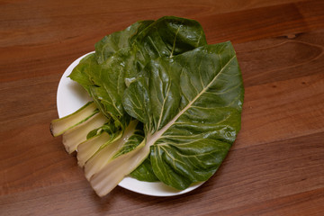 green leafy vegetable called Chard or Swiss chard, Beta vulgaris, silver beet or perpetual spinach