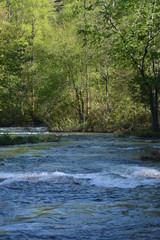 Naklejka premium RApid waters, wilderness