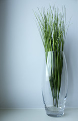 flowers and grass in vase on white background 