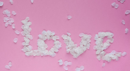 Word love with white petals on pink background.