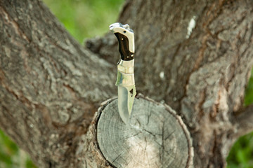pocket knife on wood in garden