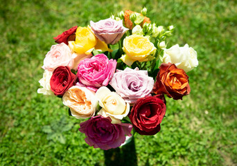 Beautiful red, yellow, pink, orange and white roses in the garden