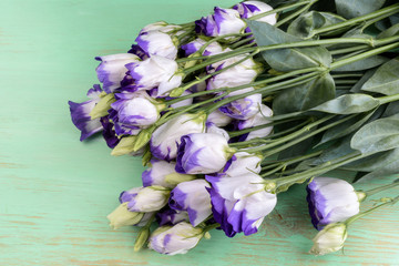 White Eustoma on the green wooden background
