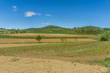 Fototapeta na wymiar fields and expanses of lawns in Turin, agricultural land and cultivation