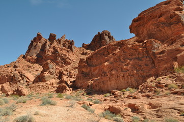Fototapeta premium Le parc d'État de Valley of Fire