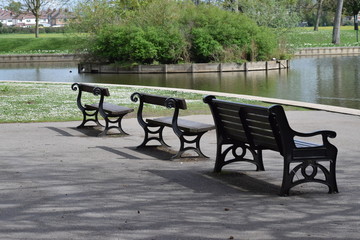 Fototapeta na wymiar Empty benches in the park