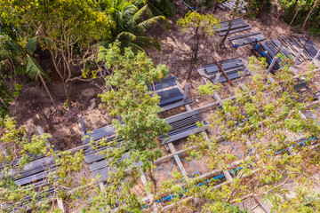 Fototapete bei efototapeten.de bestellen   