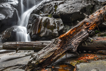 waterfall in the forest
