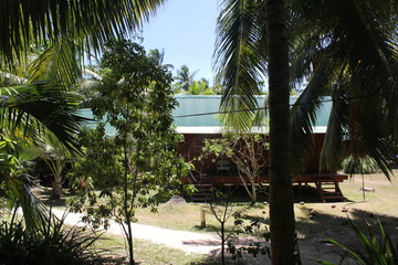 North island seychelles beach Indian Ocean palms