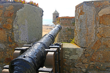 Cannon in the fortress loophole