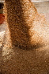 Grain elevator. Storage and loading of grain