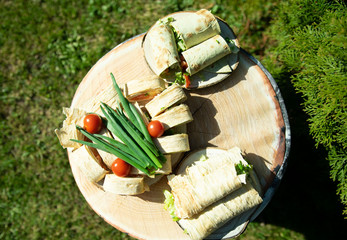 Picnic stump with Roll salmon, avocado, green salad, onions, tomatoes1