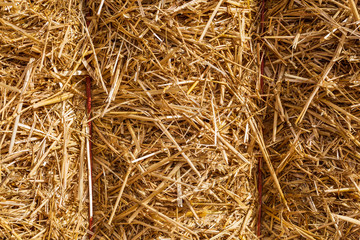 Texture of yellow straw bale
