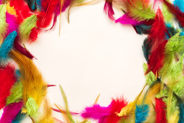 Beautiful colorful feathers on white background. Copy space