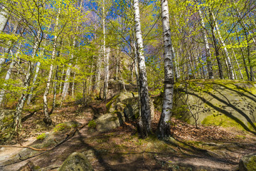 Fototapeta premium Landscape of mountains