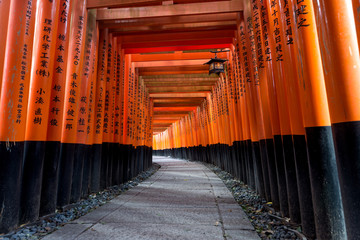 Red Torii of Fushimi Inari Shrine, Kyoto, Japan