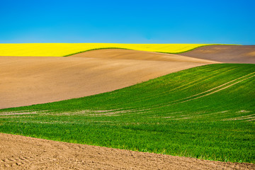 Obraz premium Hilly landscape. Farm lands cultivated in rural area. Cozla concept