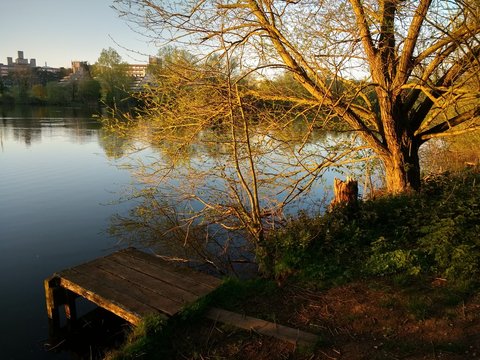 Landscape Tranquil Early Summer Beautiful Lake View Of Calm Water With Tree And Bush Reflections, Blue Sky And Boat Landing Mooring At The University  Broad Rural Norwich Countryside East Anglia Norfo