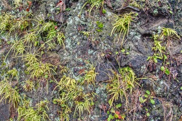 Hot Springs National Park is located in South West Arkansas by the Town of the same Name