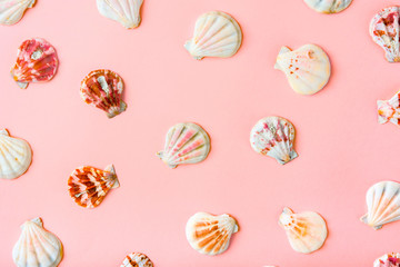 Elegant pattern from round striped white sea shells on warm pink background. Nautical tropical theme. Creative flat lay in feminine style. Beauty fashion spa wellness organic cosmetics concept