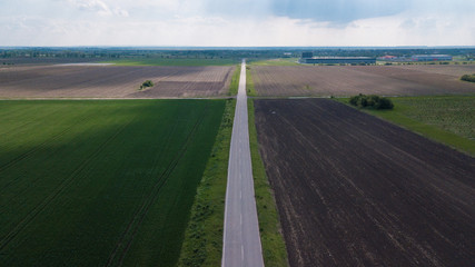 Fields of young cereals and barley viewed from the air