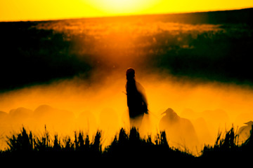 Sunset and shepherd. Sunset nature background.