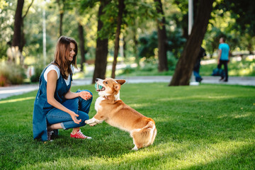 Portrait of woman with dog Welsh Corgi Pembroke in dog park