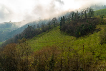 The fantastic view of mountains covered with green trees under a blue sky with clouds.