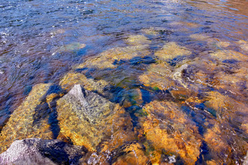 Water streams of a mountain river washing stones covered with colored moss.
