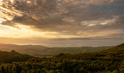 A sunset view of the wind turbines in Wellington, New Zealand