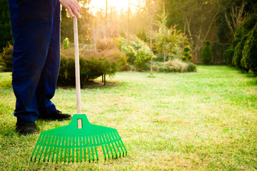 Raking grass in the garden. The man fertilizes the soil in the garden, preparing for work on the...