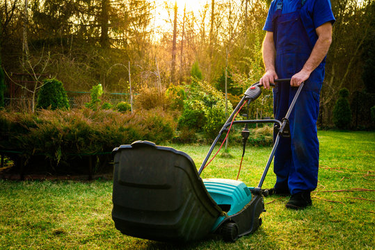 Using scarifier in the garden. The man fertilizes the soil in the garden, preparing for work on the garden. Aeration with a blue scarifier. The gardener works outside taking care of plants.