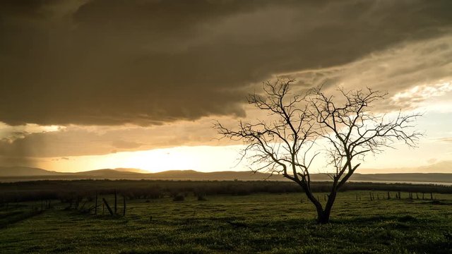 Time lapse of clouds building during storm as sun peaks out from behind the clouds lighting up rain drops on lens with lone tree in field.