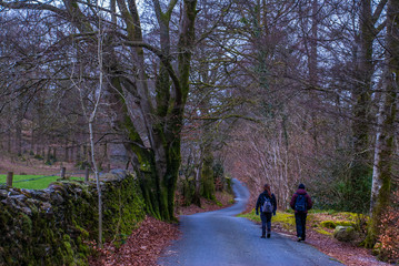 Obraz premium Road up the hill in autumn Natural elements.