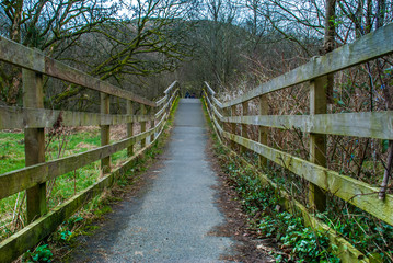 Fototapeta premium Wooden fence in the garden before crossing the bridge in the lake area.