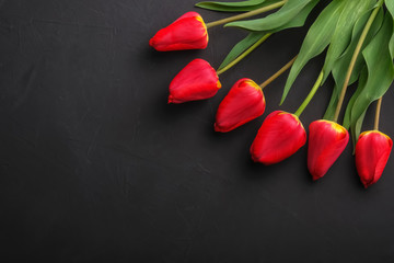 Bouqet of red tulips on black background with copy space for text.