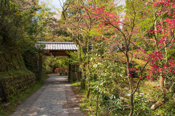 白川水源　Shirakawa water sources　熊本県阿蘇市