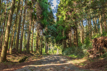 Obraz premium 参勤交代の道 Way of sankin-kōtai 熊本県阿蘇市