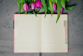 Naklejka premium Purple tulips on a background of a notebook with blank pages. The concept of handing flowers to a woman, girl. Beautiful tulips and flowers, mother's day, women's day.